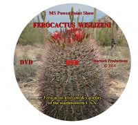 Phylogeny of Ferocactus wislizeni and its varieties